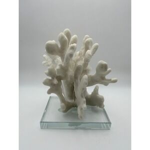 White Natural Coral Display Piece‎ on Glass Base Coastal Decor Accent